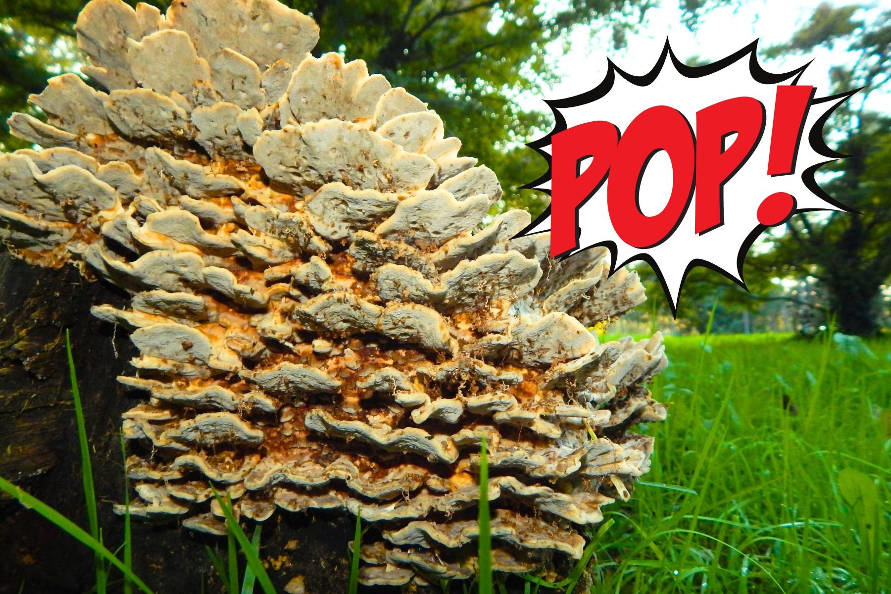 Visita guidata bambini Giardini Pubblici Milano supereroi