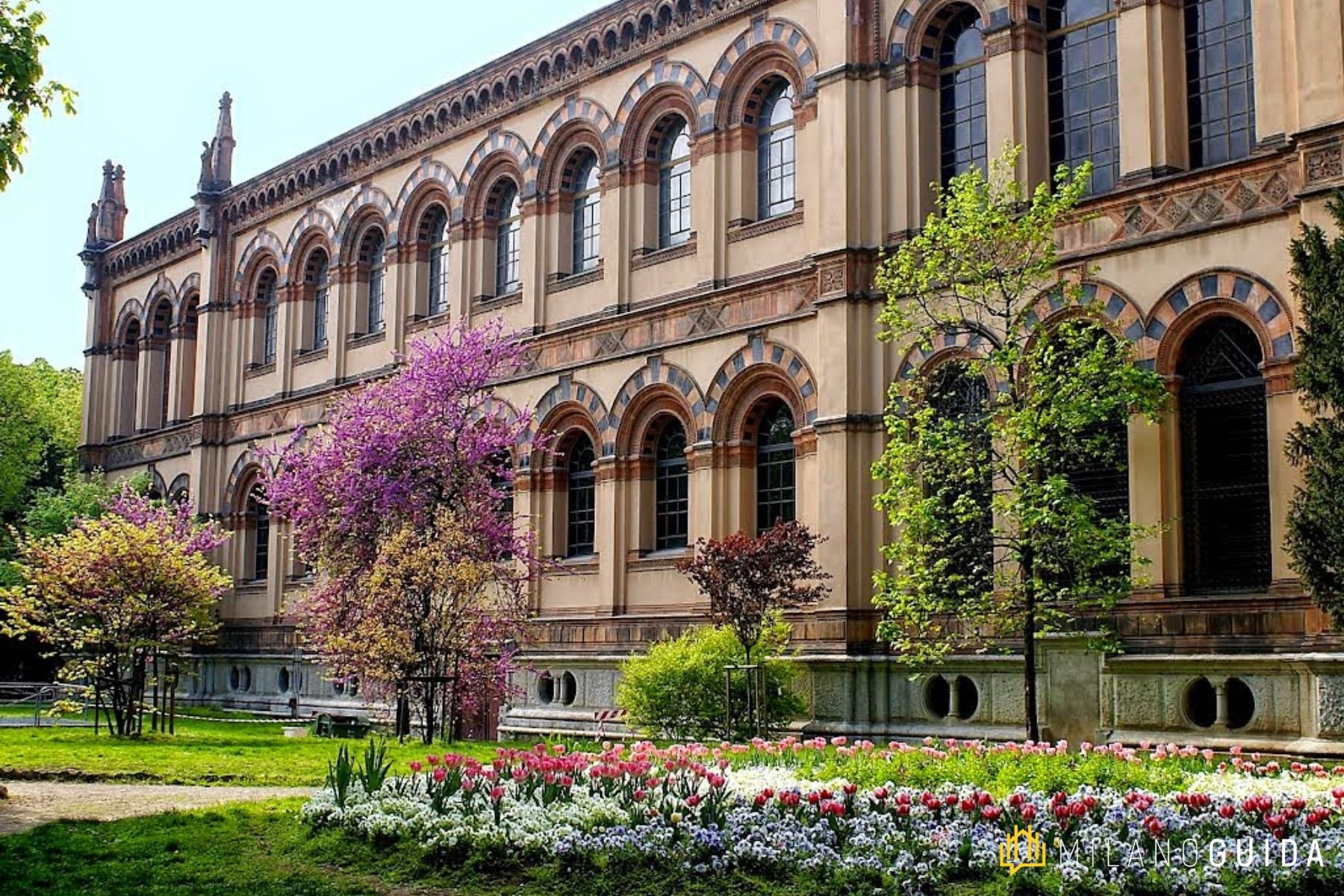 Museo di Storia Naturale Milano per bambini