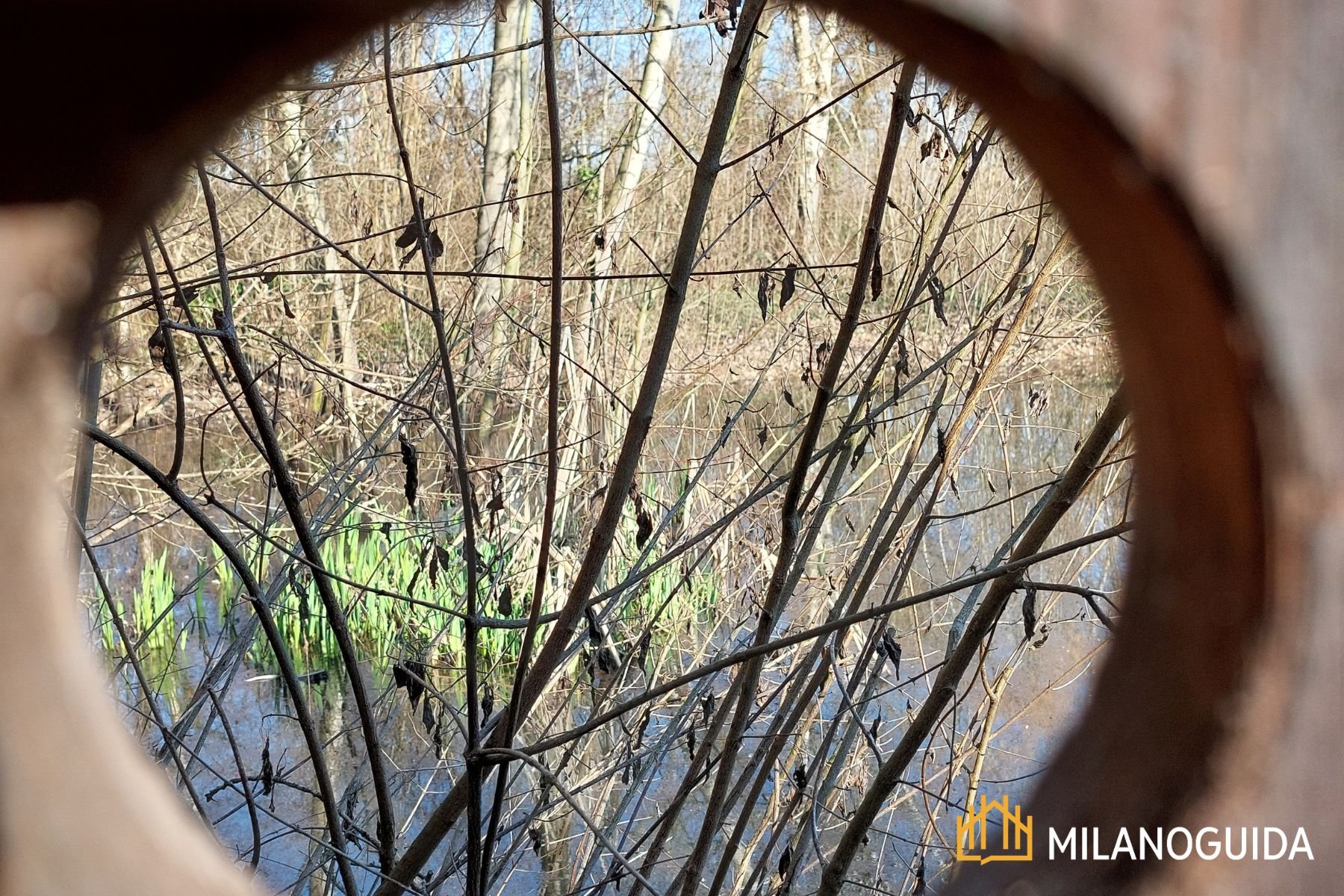 Visita guidata Oasi WWF Le Foppe