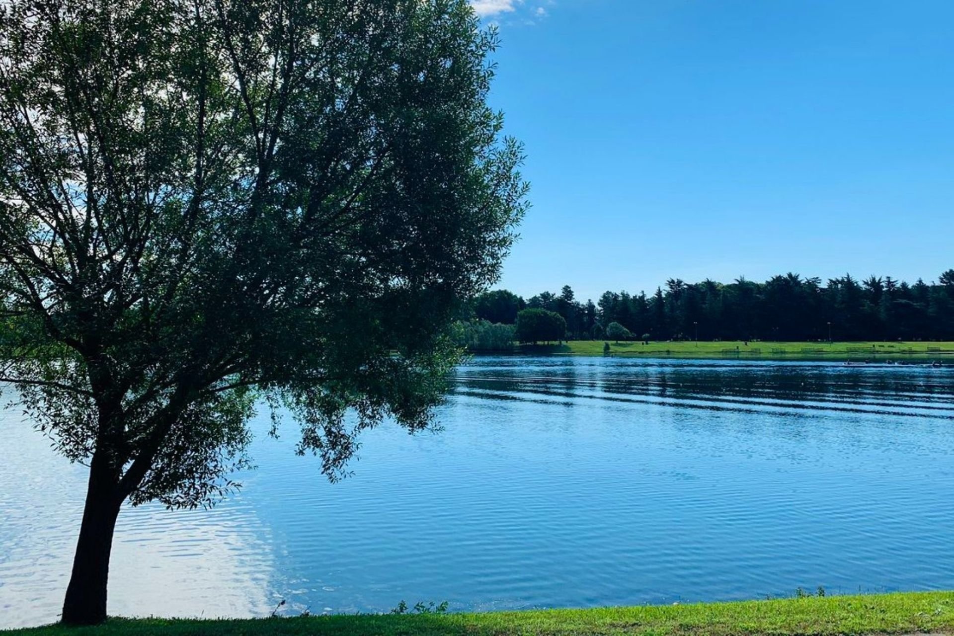 Visita guidata Idroscalo Milano