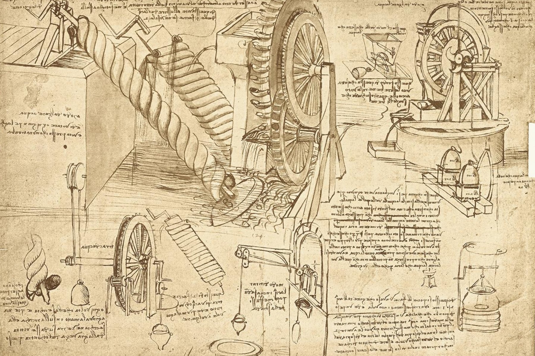 Visita guidata Pinacoteca Ambrosiana Bambini