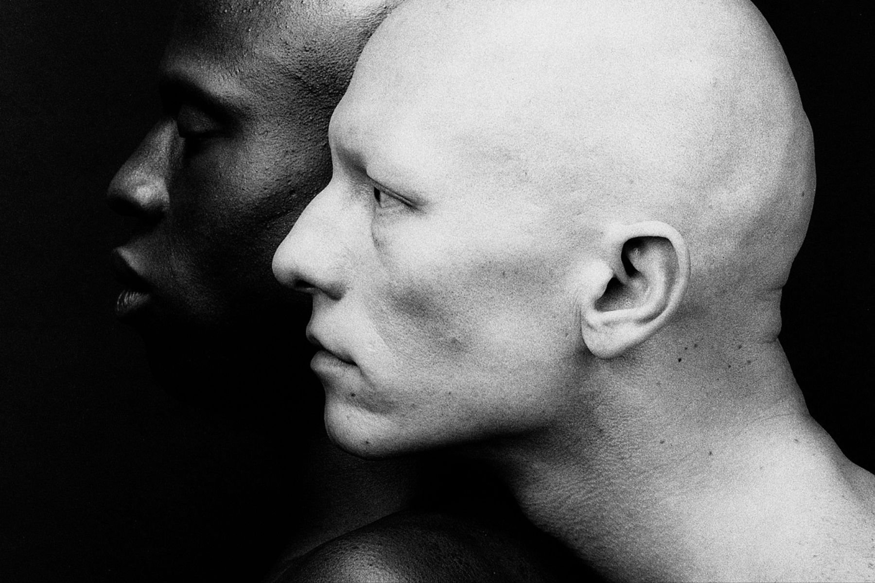 Mostra Mapplethorpe Milano