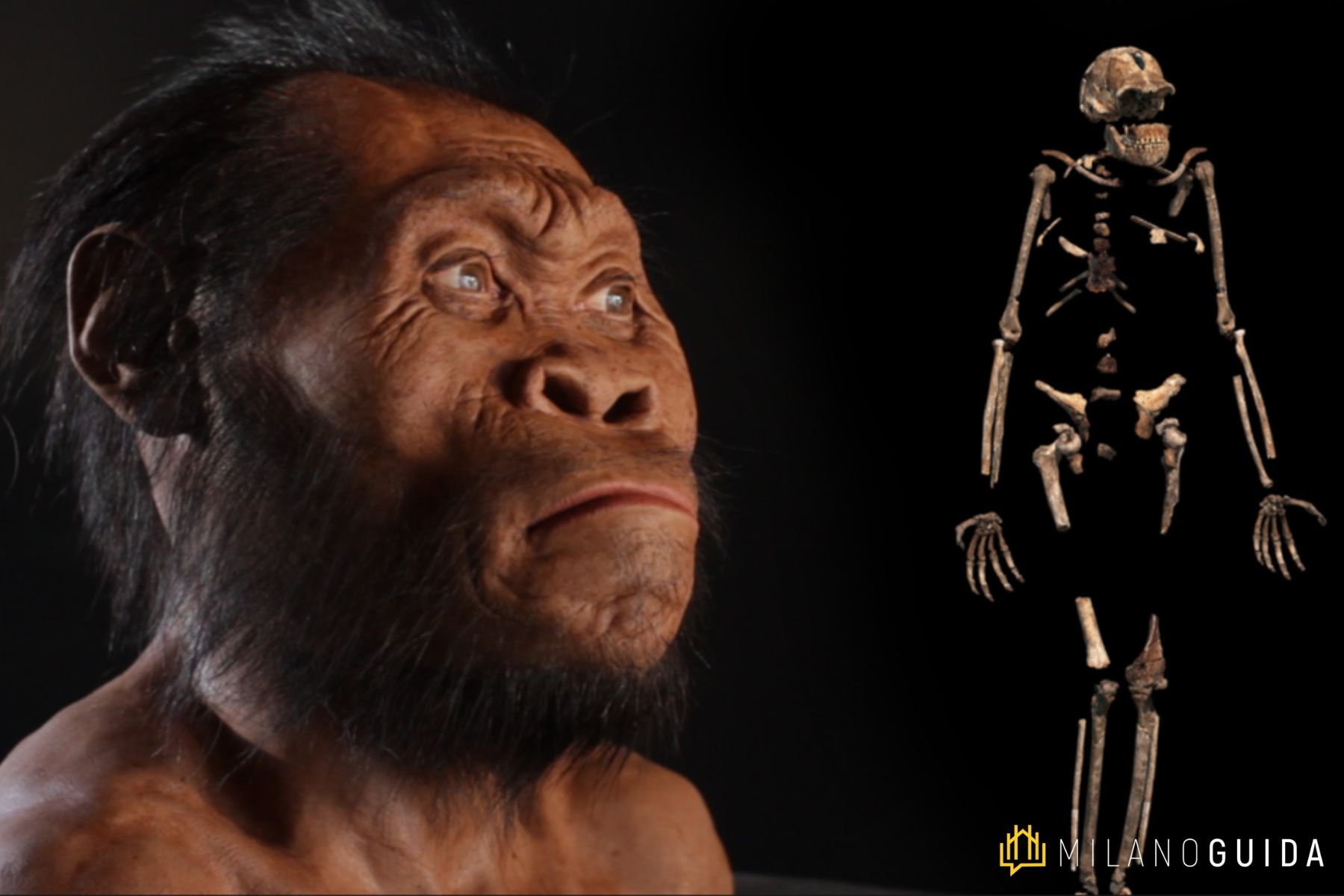 Visita guidata al Museo di Storia Naturale di Milano