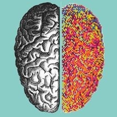 Visita guidata Mostra Brain