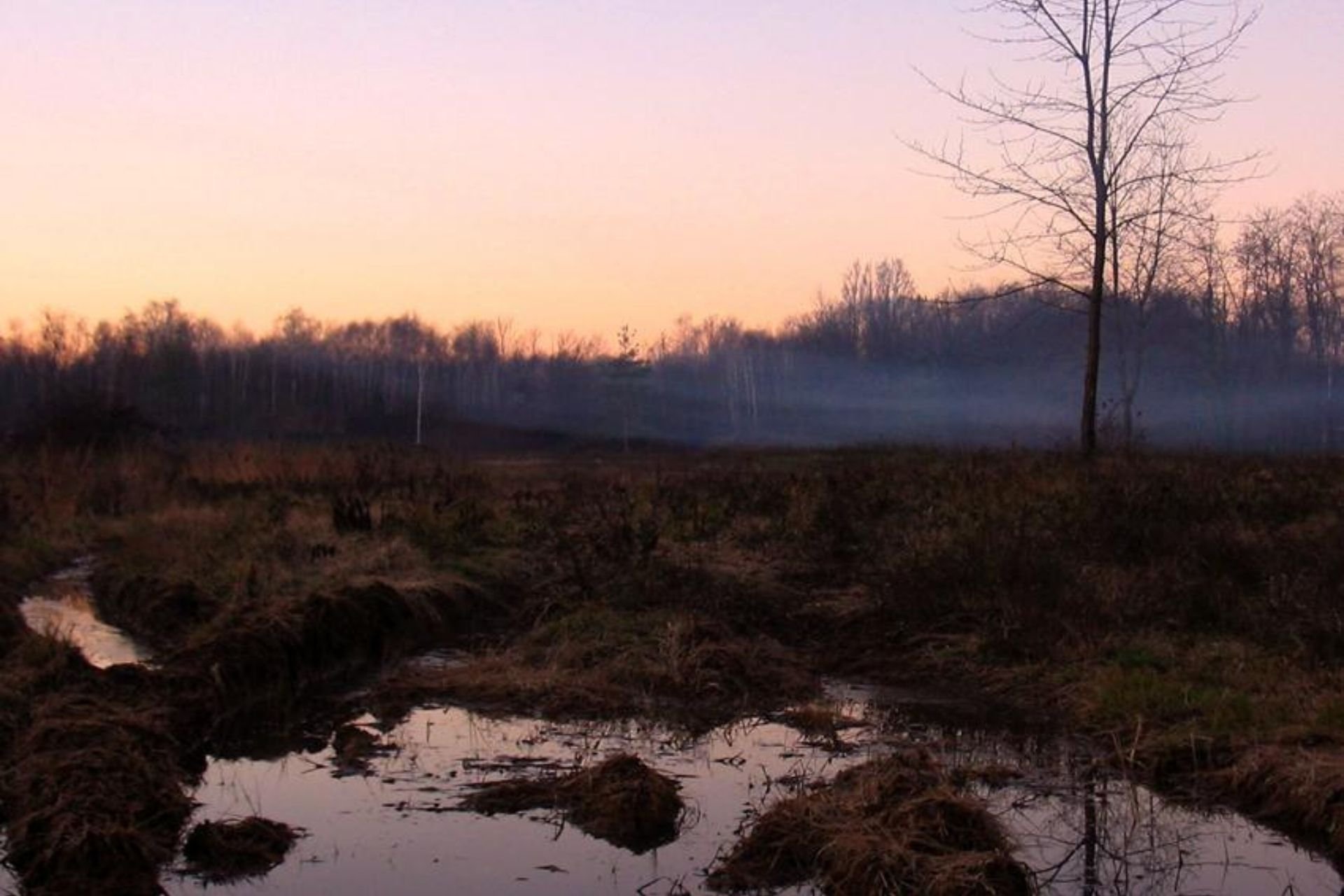 L'antica via Gaggio e Brughiera