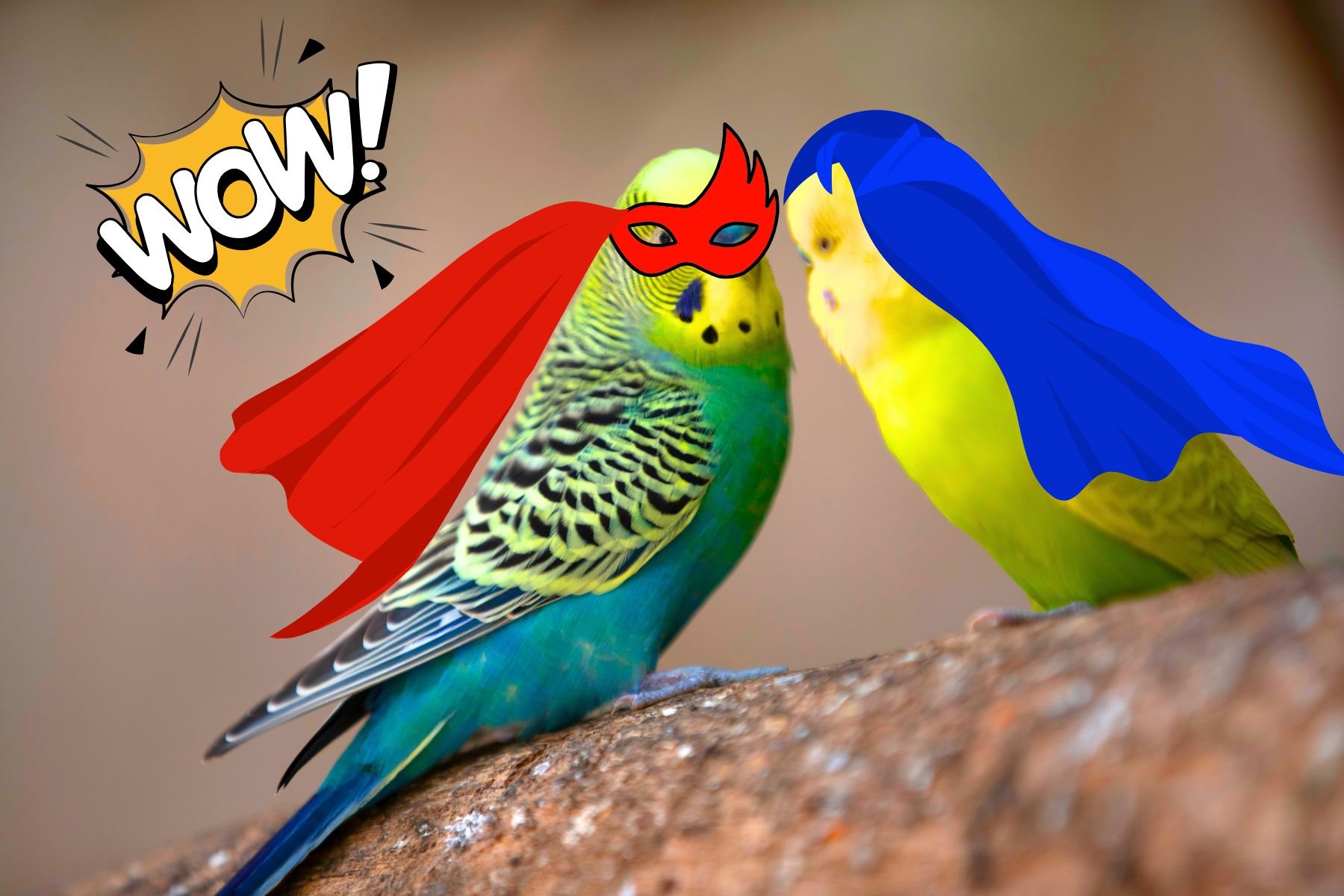 Visita guidata bambini Giardini Pubblici Milano supereroi