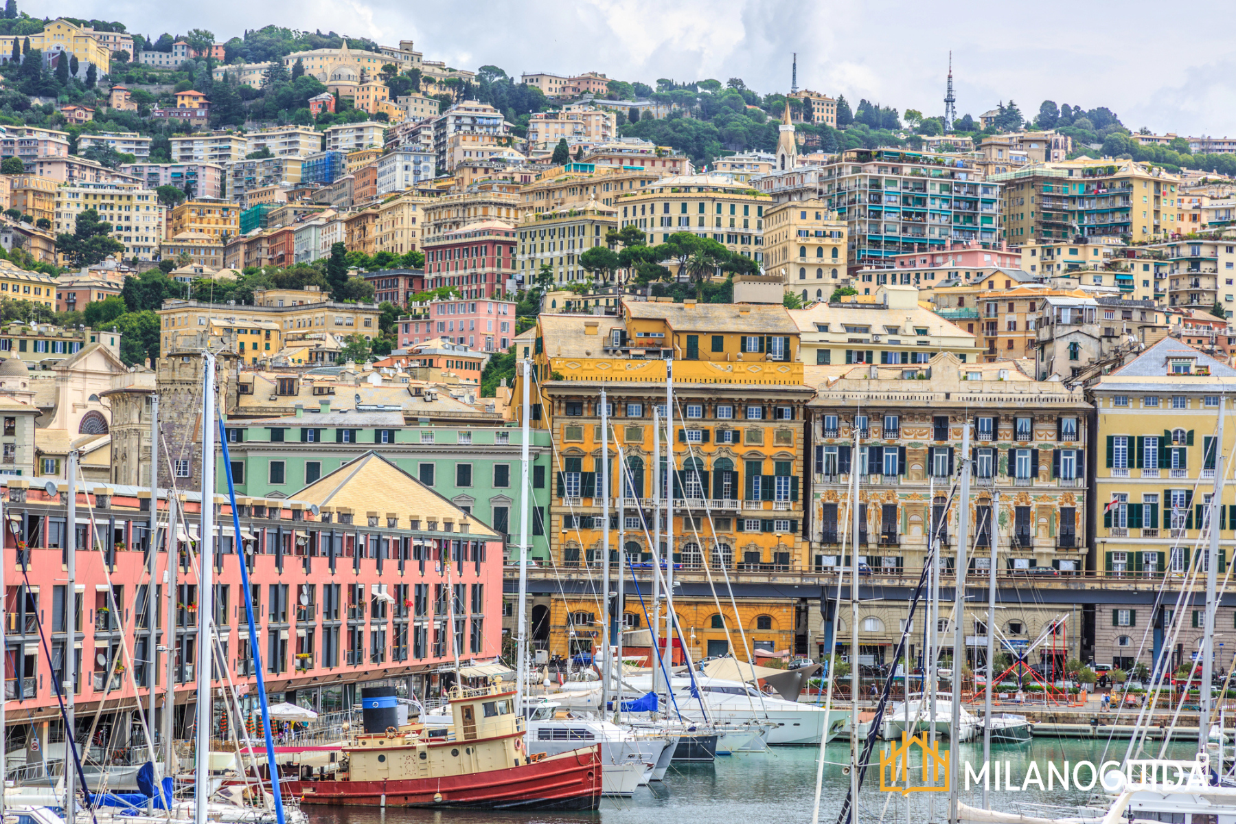 Visita guidata a Genova e alla mostra di Van Dyck