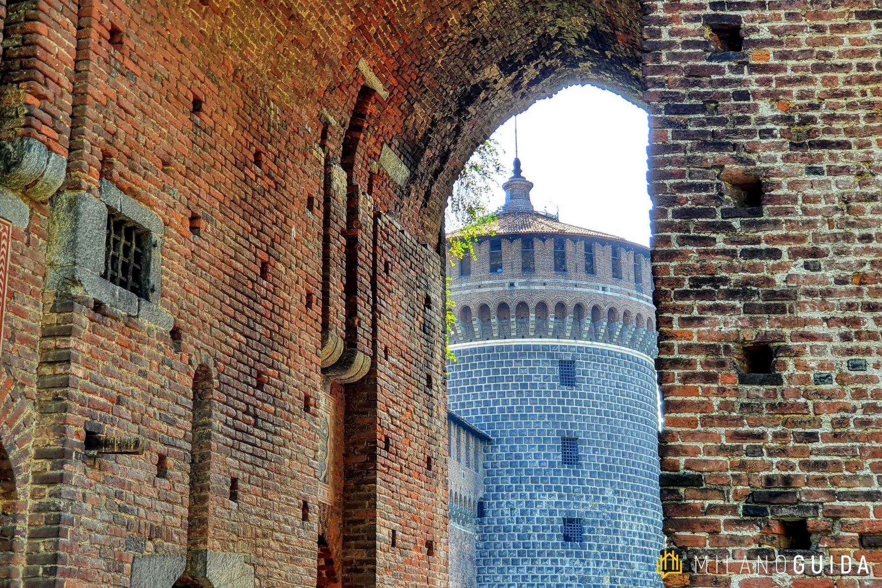 Visita guidata Castello Sforzesco Milano