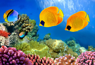 Acquario Milano Bambini