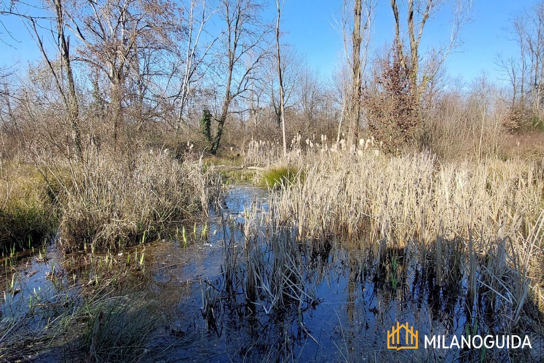 Visita guidata Oasi WWF Le Foppe