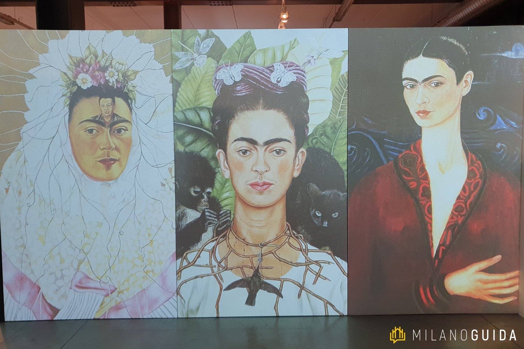 Mostra Frida Kahlo Milano
