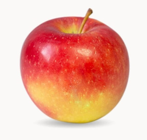 Nicoter Biosüdtirol