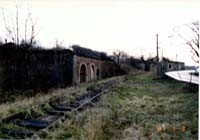 ポロコーストとは？