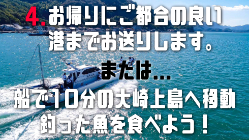 ウサギの島 大久野島4