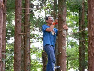 枝打ちってどうやるの？