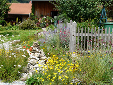 Bunte Gärten ohne Torf - denn Torf gehört ins Moor!