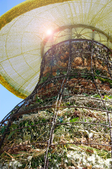 Le Champicomposteur d'Or © Claude Pasquer