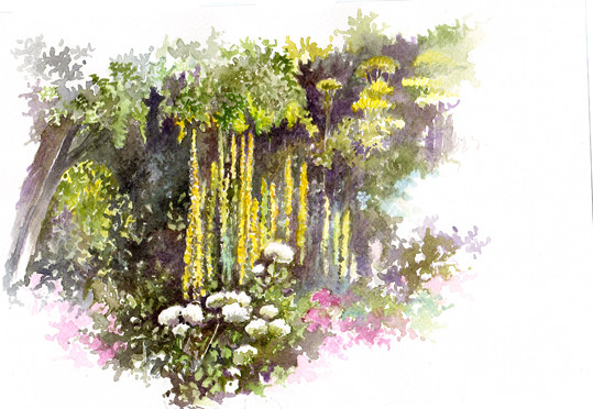 Aquarelle Association végétale © 