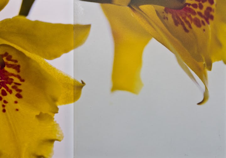 Satianto Alternativ VSG mattweiß