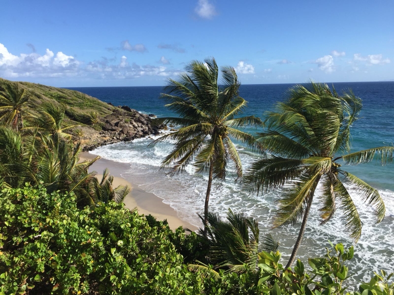 Nord Ost Küste von Grenada