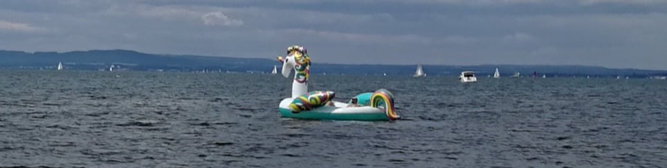 Skurriles vom Bodensee 