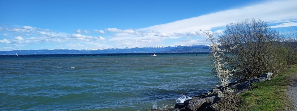 Föhn stürmt über den See