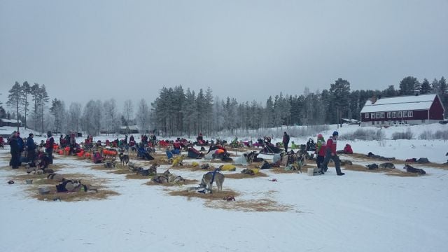 Checkpoint Überblick