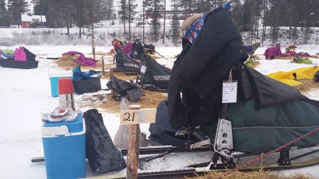 Chrigu hat am Pfosten 21 festgemacht