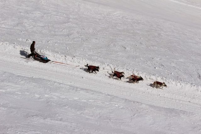 Abfahrt vom Grünleitennock, hier wird alles zum Bremsen eingesetzt was verfügbar ist: Kettenbremse, Bügelbremse...