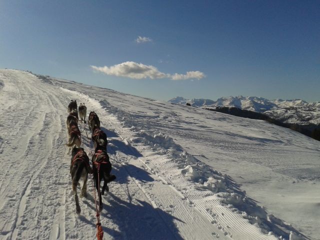 Steiler Aufstieg und schöne Aussicht; hier kann ich es noch geniessen, die Hunde machen alles alleine!