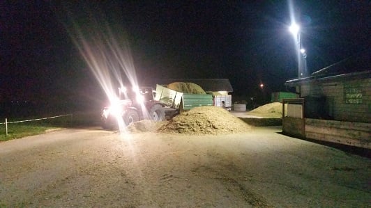 Den Mais bringen wir in die Trocknungsanlage Eschlikon