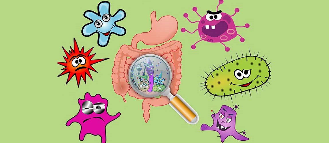 Die Wichtigkeit unserer Darmflora / Mikrobiom auf die Gesundheit