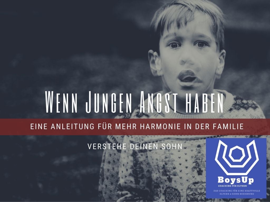 Wenn Jungen Angst haben. Eine Anleitung zu mehr Harmonie.