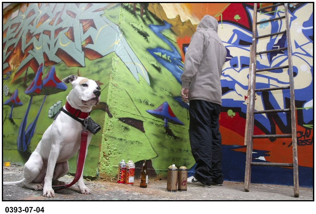 Alex : Le chien tageur