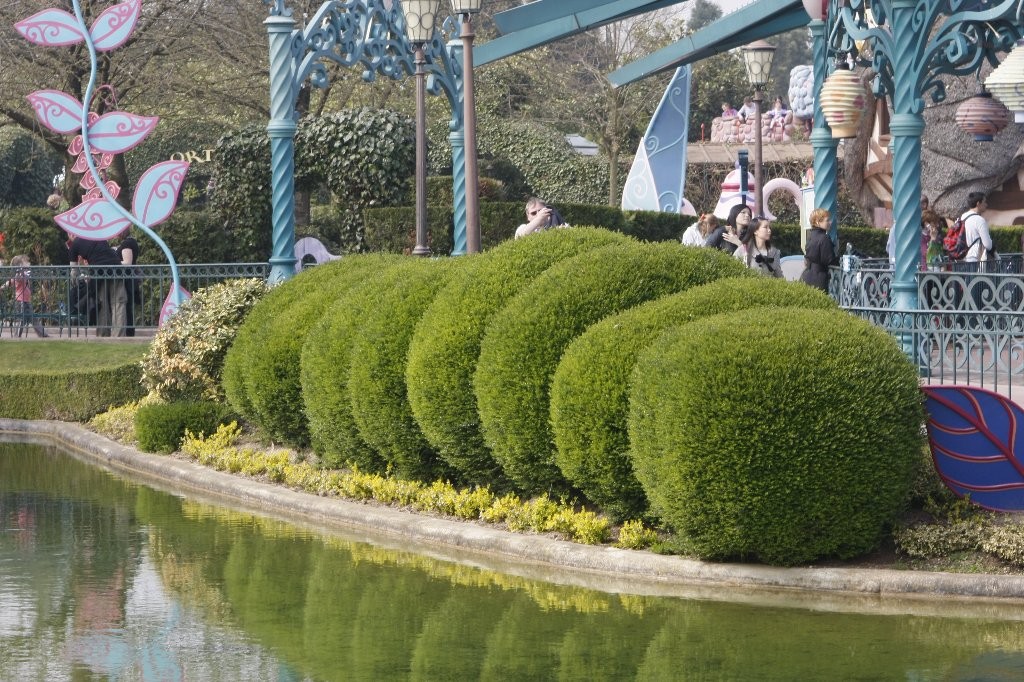 Patrick : Dysneyland, décors