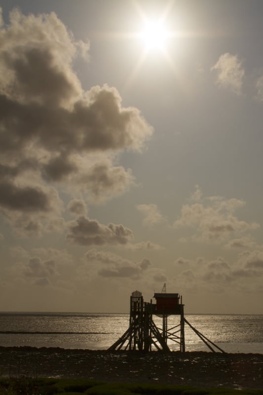 Marie Jo - Clair obscur