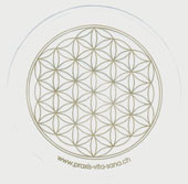 Lebensblume als Glasuntersetzer