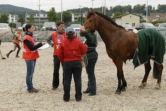 CE Fehraltorf 2011 - Foto: earlybirdphotos.com