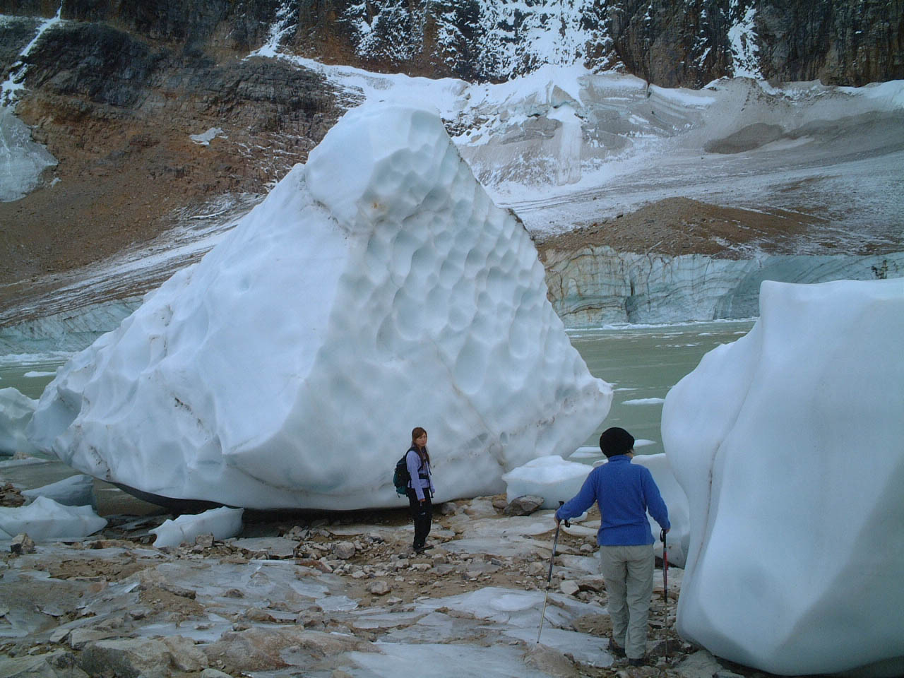 氷河のかけら、エディスキャベルハイキング