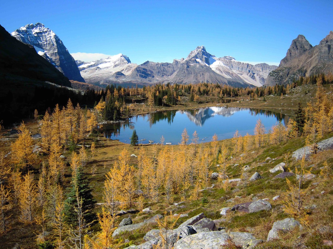 ムーアー・レイク