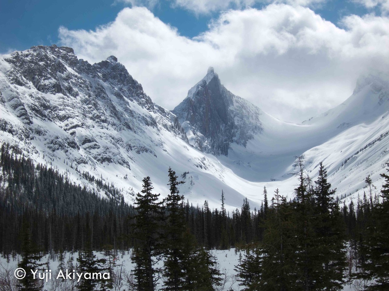 カナナスキス ロバートソン氷河