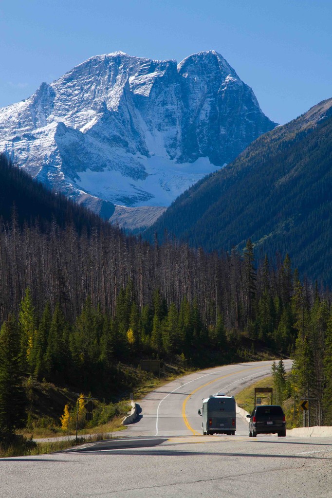 2003年の山火事跡