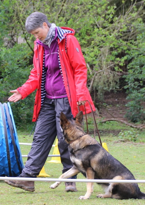 Trainerin zeigt mit Handbewegung einem Schäferhund den Weg.