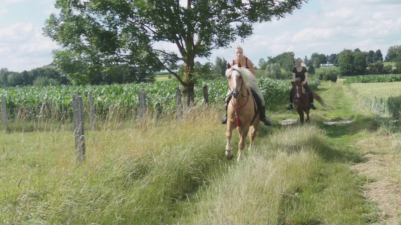 Mit Apell und Neele durchs Gelände