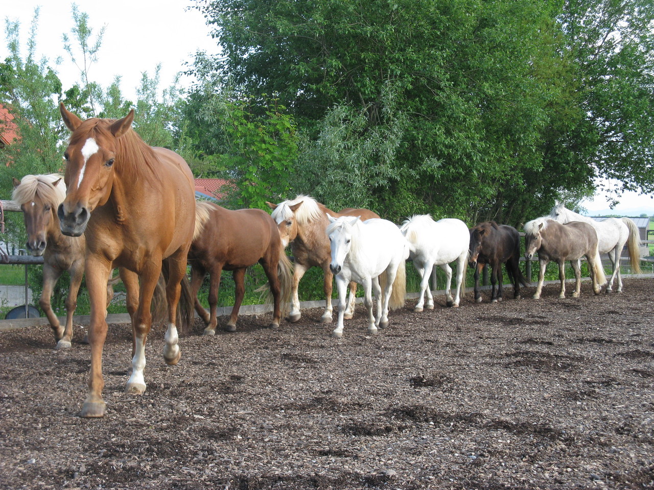 ...bei der Bodenarbeit...