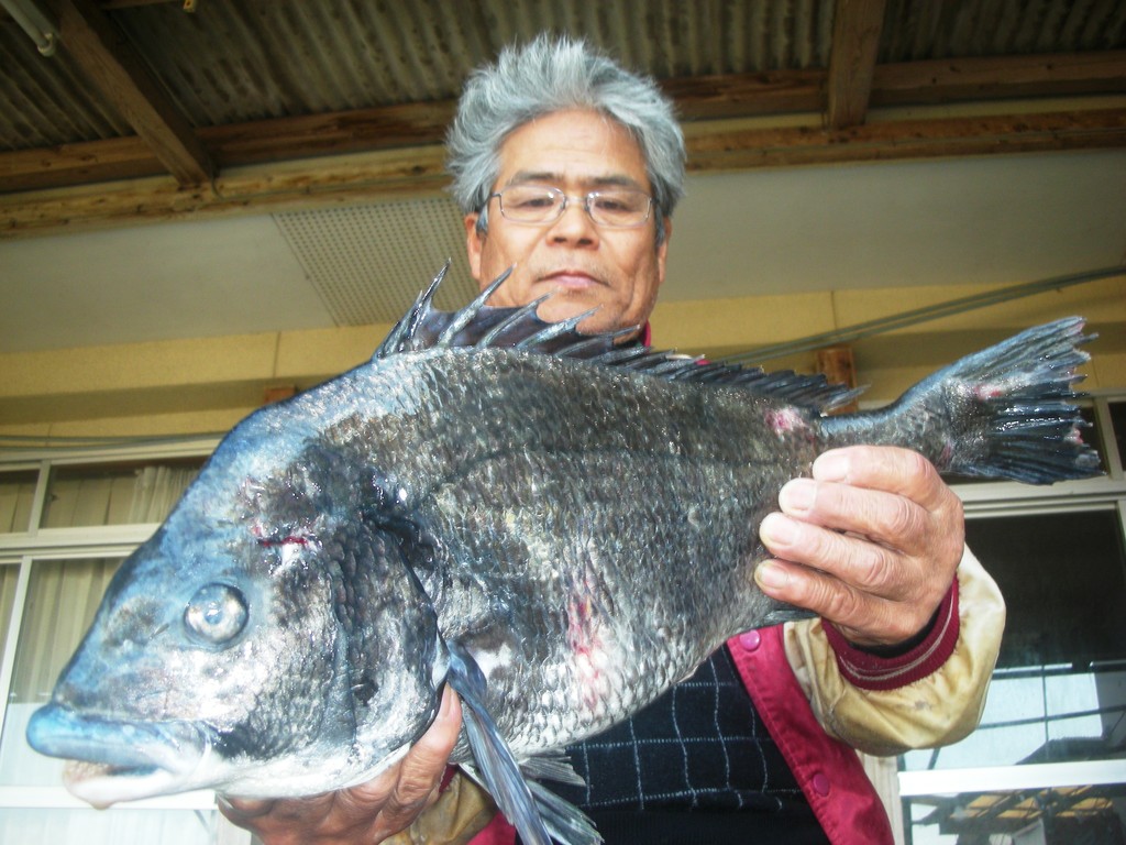１月８日　冨岡　梅義さん　ガバチヌ５０．３㎝