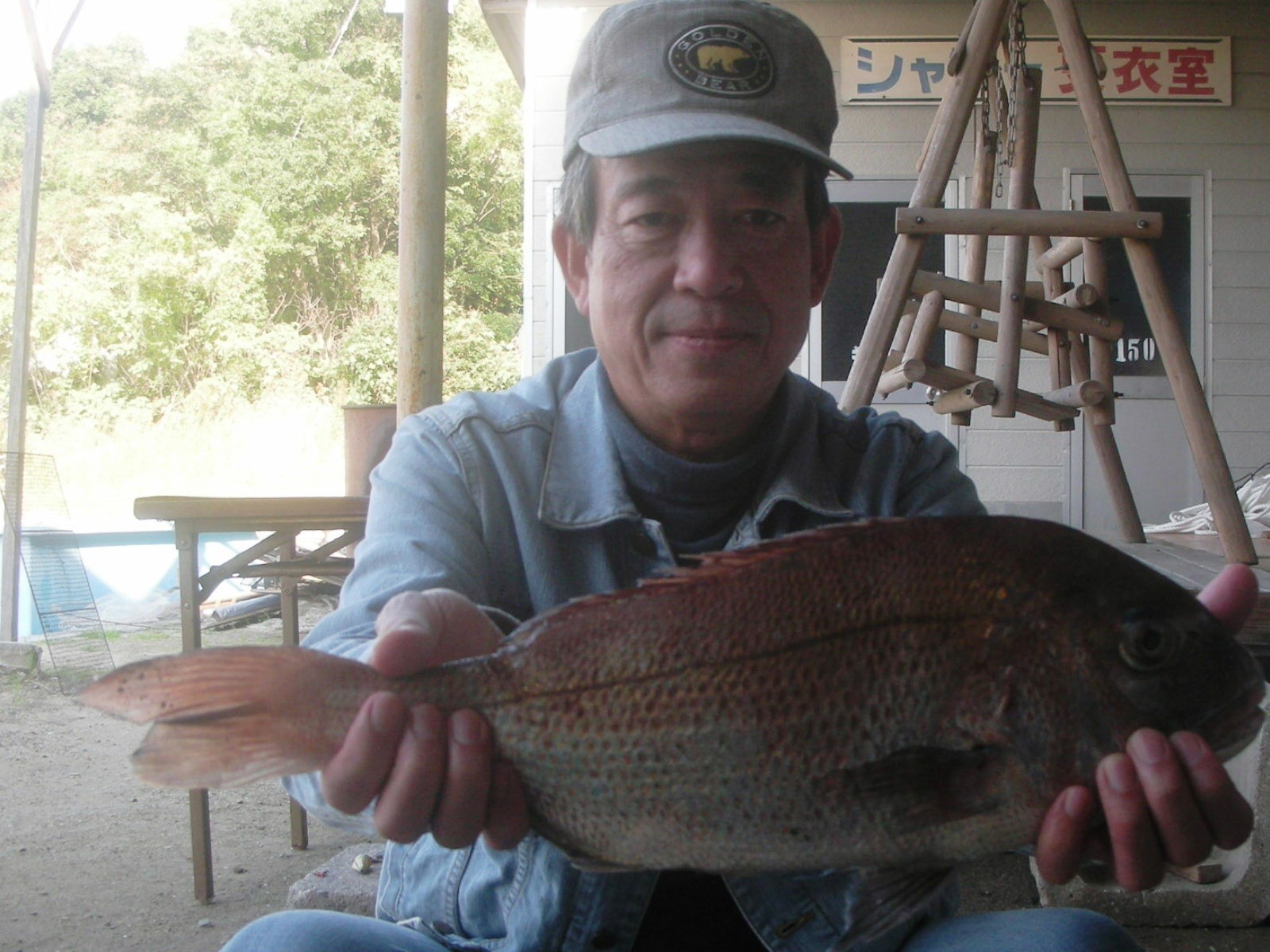 １１月１６日　船外機付きレンタルボートで光永さん　マダイ５０．５㎝