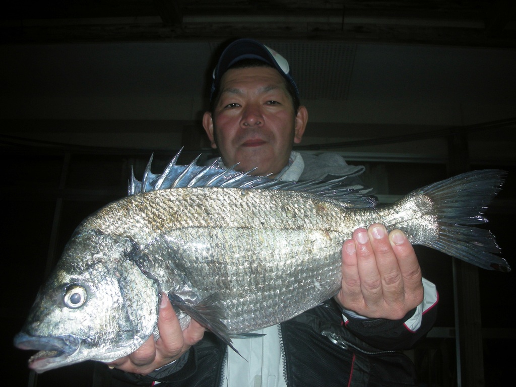 ５月７日　植田　和敏さん　ガバチヌ５０．３㎝