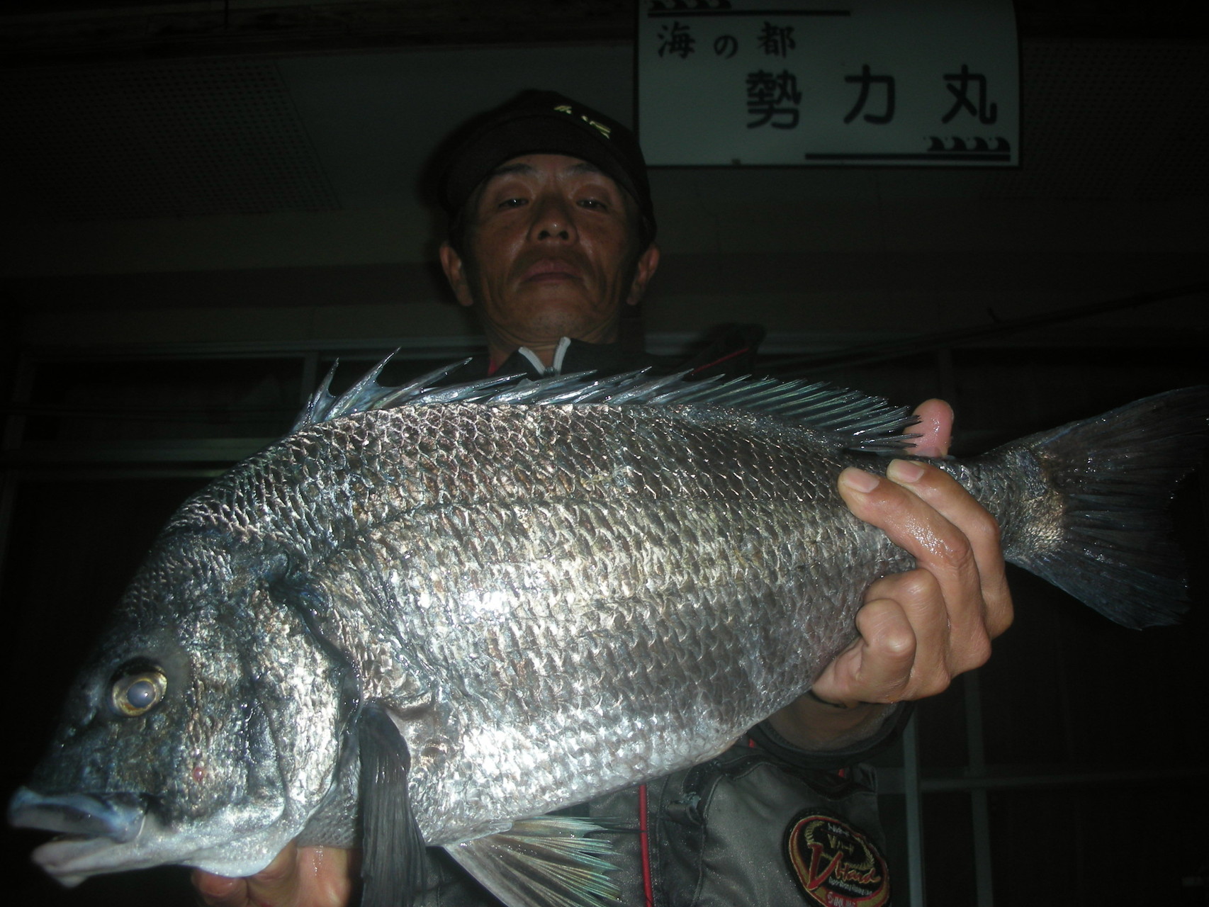 ４月２日　車さん　ガバチヌ５１．５㎝を頭に４匹