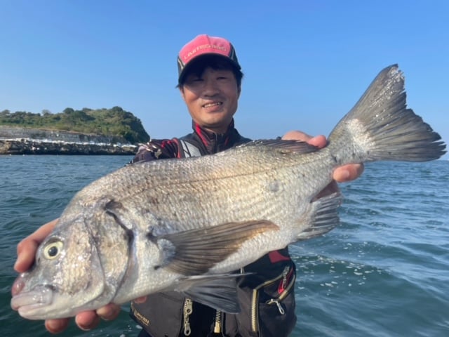 １１月４日　磯釣りで北村さん　ガバチヌ５１．３cm